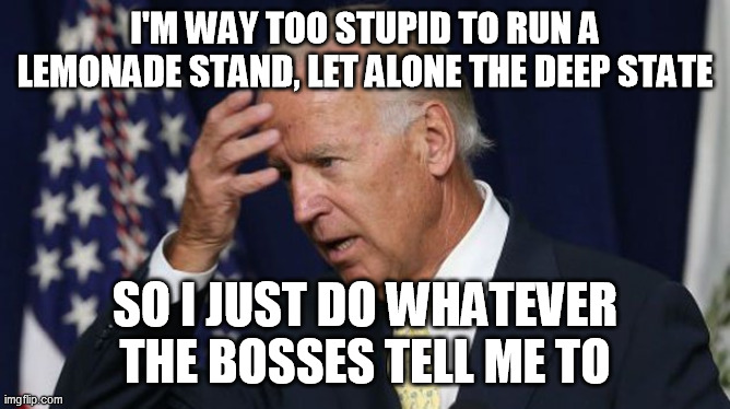 Joe Biden worries | I'M WAY TOO STUPID TO RUN A LEMONADE STAND, LET ALONE THE DEEP STATE SO I JUST DO WHATEVER THE BOSSES TELL ME TO | image tagged in joe biden worries | made w/ Imgflip meme maker