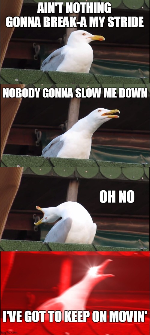 Break my stride | AIN'T NOTHING GONNA BREAK-A MY STRIDE; NOBODY GONNA SLOW ME DOWN; OH NO; I'VE GOT TO KEEP ON MOVIN' | image tagged in memes,inhaling seagull | made w/ Imgflip meme maker