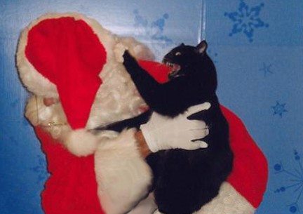 Cat attacks Santa Blank Meme Template