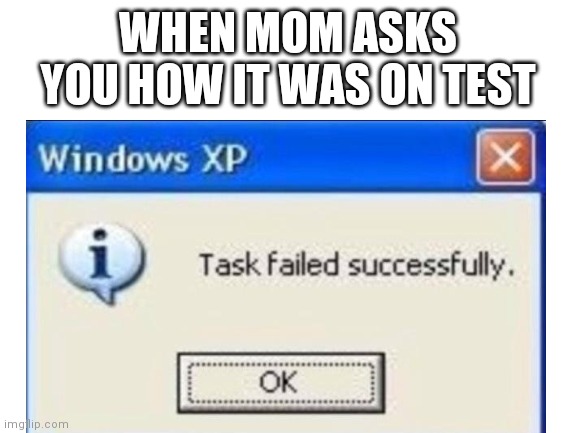 The test failed successfuly | WHEN MOM ASKS YOU HOW IT WAS ON TEST | image tagged in lol | made w/ Imgflip meme maker