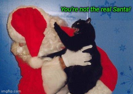 Claws for Claus | You're not the real Santa! | image tagged in cat attacks santa,funny cats,christmas,humor | made w/ Imgflip meme maker