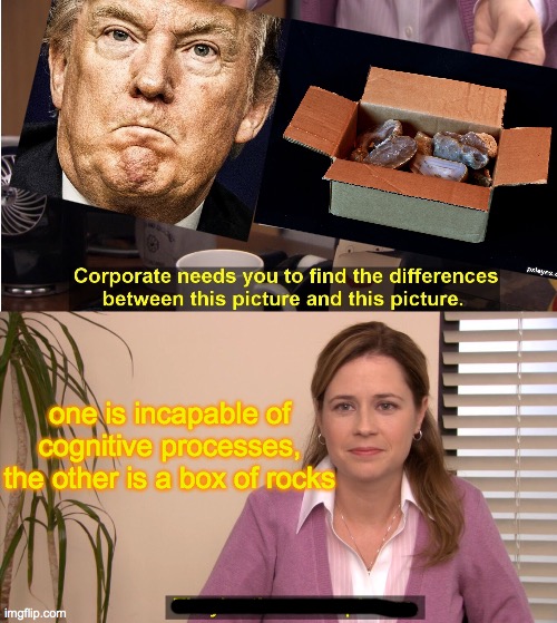 Trump Rocks | one is incapable of cognitive processes, the other is a box of rocks | image tagged in memes,they're the same picture,trump,rocks,biden 2020,worst president ever | made w/ Imgflip meme maker