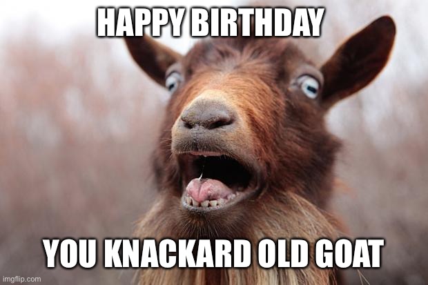 GoatScream2014 | HAPPY BIRTHDAY; YOU KNACKARD OLD GOAT | image tagged in goatscream2014 | made w/ Imgflip meme maker