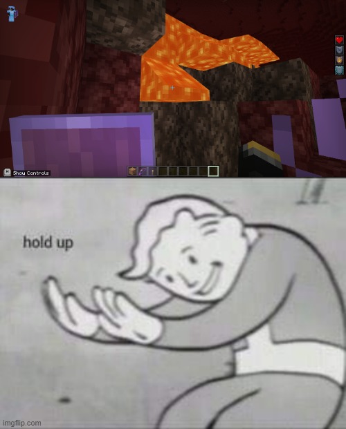 I have no words | image tagged in fallout hold up,minecraft | made w/ Imgflip meme maker