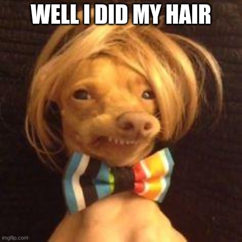 phteven dog | WELL I DID MY HAIR | image tagged in phteven dog | made w/ Imgflip meme maker