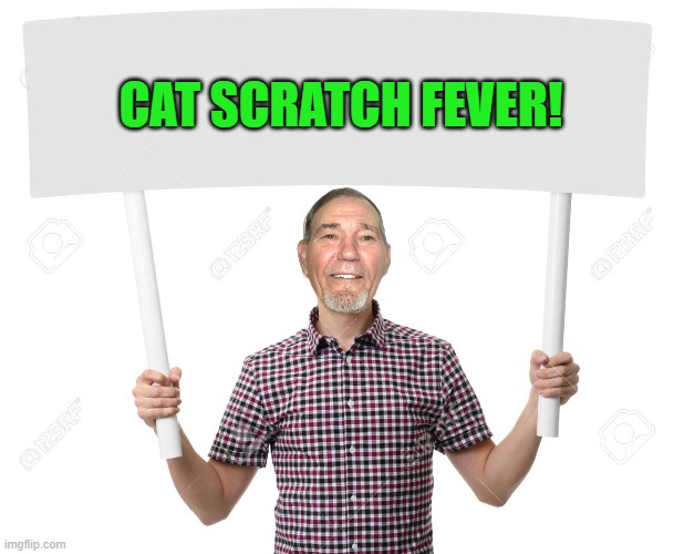 sign | CAT SCRATCH FEVER! | image tagged in sign | made w/ Imgflip meme maker