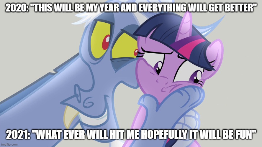 2020: "THIS WILL BE MY YEAR AND EVERYTHING WILL GET BETTER"; 2021: "WHAT EVER WILL HIT ME HOPEFULLY IT WILL BE FUN" | image tagged in mlp,2020,2021,new year resolutions | made w/ Imgflip meme maker