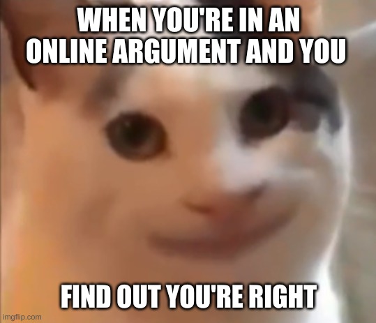 it feels so good | WHEN YOU'RE IN AN ONLINE ARGUMENT AND YOU; FIND OUT YOU'RE RIGHT | image tagged in cursed cat | made w/ Imgflip meme maker