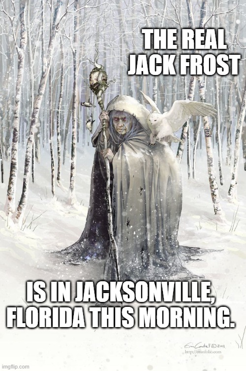 It's cold | THE REAL JACK FROST; IS IN JACKSONVILLE, FLORIDA THIS MORNING. | image tagged in haha brrrrrrr | made w/ Imgflip meme maker