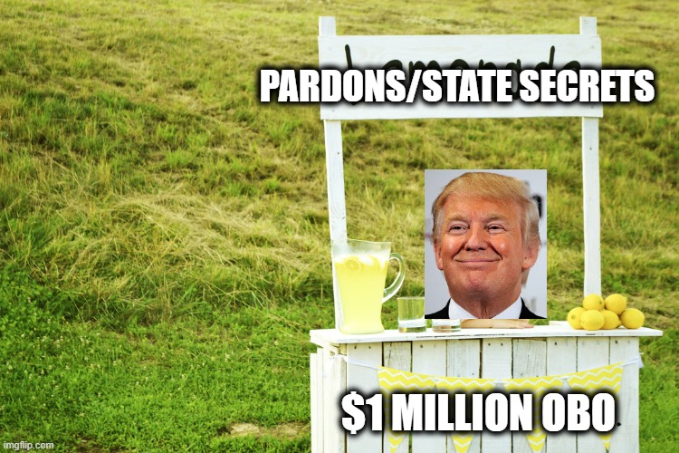 Pardon/Treason stand | PARDONS/STATE SECRETS; $1 MILLION OBO | image tagged in lemonade stand,memes,politics,government corruption,donald trump is an idiot,maga | made w/ Imgflip meme maker