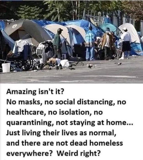 So tell me why the homeless population aren't experiencing massive depopulation? | image tagged in homeless,scamdemic,plandemic,covidiots,sounds like communist propaganda,no more toilet paper | made w/ Imgflip meme maker