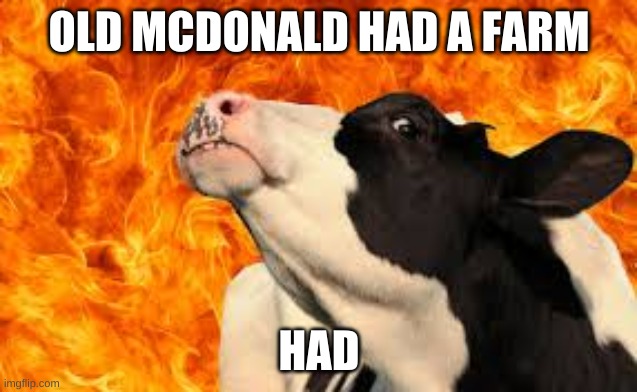 HAD | OLD MCDONALD HAD A FARM; HAD | image tagged in cow,barn | made w/ Imgflip meme maker