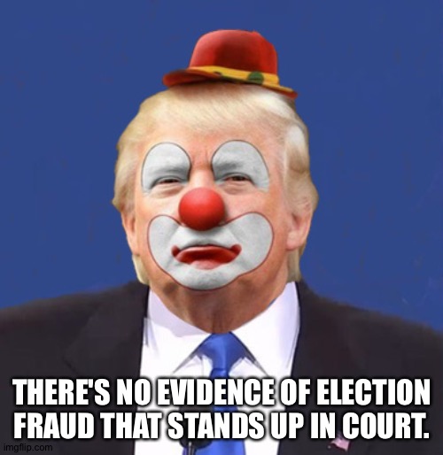 Donald Trump Clown | THERE'S NO EVIDENCE OF ELECTION FRAUD THAT STANDS UP IN COURT. | image tagged in donald trump clown | made w/ Imgflip meme maker