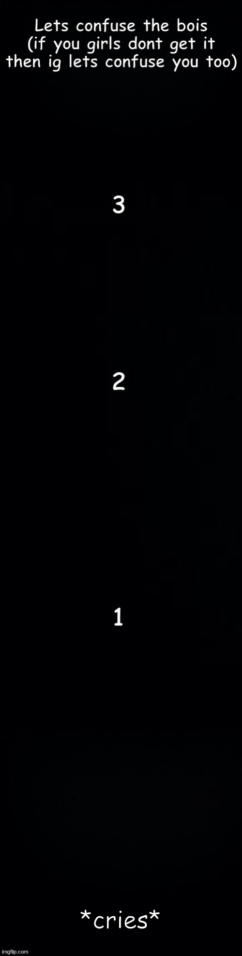 Lets confuse the bois | *cries* | image tagged in lets confuse the bois | made w/ Imgflip meme maker