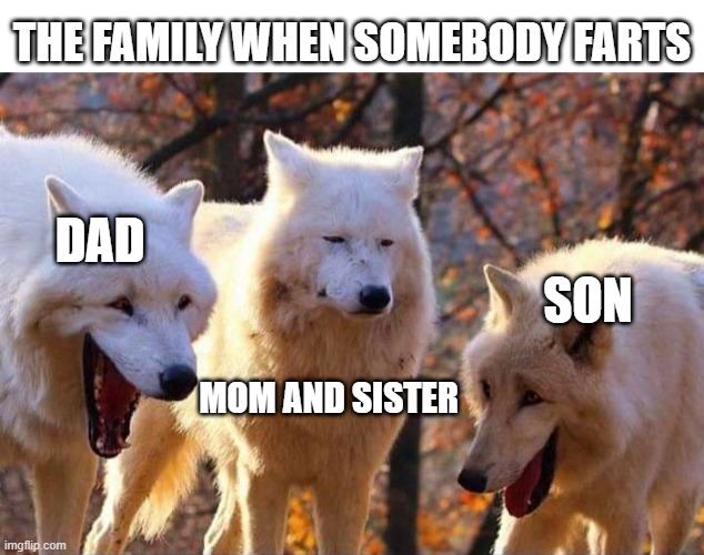 abcdefghijklmnopqrstuvwxyz | THE FAMILY WHEN SOMEBODY FARTS; DAD; SON; MOM AND SISTER | image tagged in laughing wolf | made w/ Imgflip meme maker