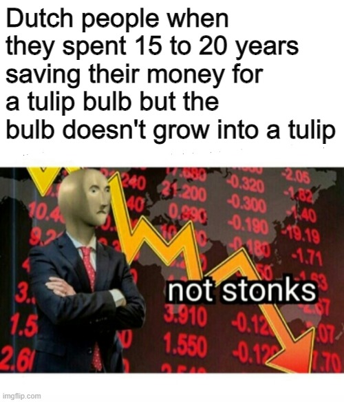Not tulips | Dutch people when they spent 15 to 20 years saving their money for a tulip bulb but the bulb doesn't grow into a tulip | image tagged in not stonks,memes,funny,history | made w/ Imgflip meme maker