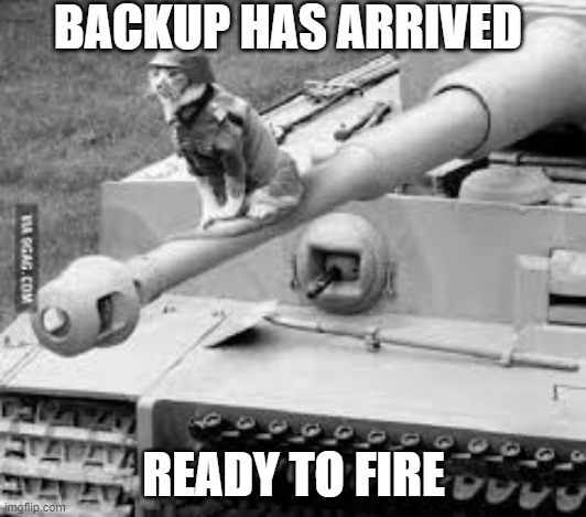 army cat | BACKUP HAS ARRIVED READY TO FIRE | image tagged in army cat | made w/ Imgflip meme maker
