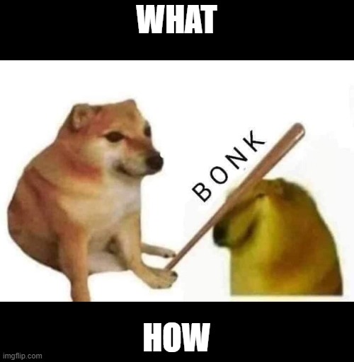 How? | WHAT; HOW | image tagged in doge bonk | made w/ Imgflip meme maker