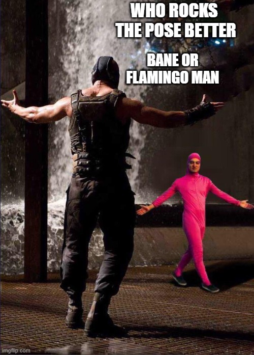 Pink Guy vs Bane | WHO ROCKS  THE POSE BETTER; BANE OR FLAMINGO MAN | image tagged in pink guy vs bane,flamingo,batman | made w/ Imgflip meme maker