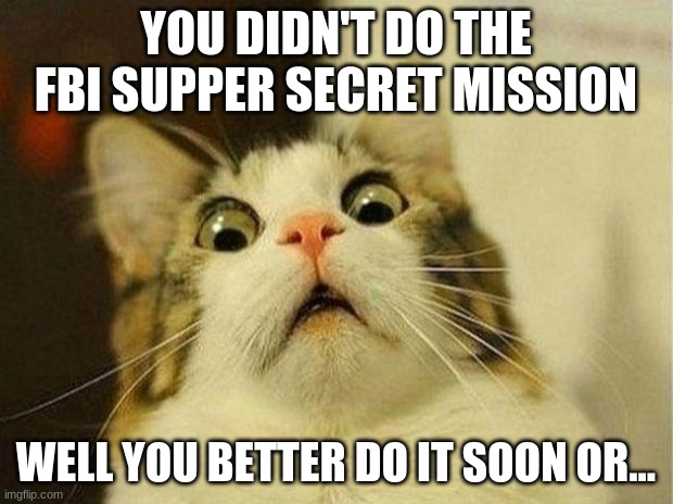 Scared Cat | YOU DIDN'T DO THE FBI SUPPER SECRET MISSION; WELL YOU BETTER DO IT SOON OR... | image tagged in memes,scared cat | made w/ Imgflip meme maker