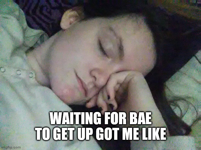 *patient koala noises* | WAITING FOR BAE TO GET UP GOT ME LIKE | image tagged in babe,wake up | made w/ Imgflip meme maker