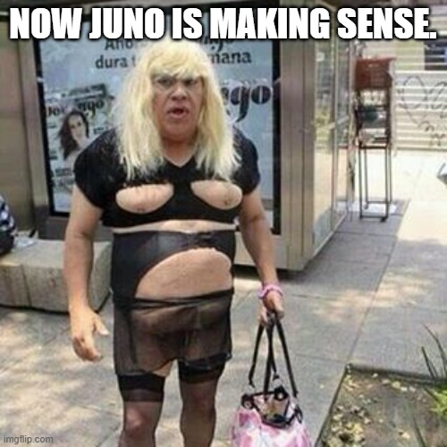 Ugly guy | NOW JUNO IS MAKING SENSE. | image tagged in tranny | made w/ Imgflip meme maker