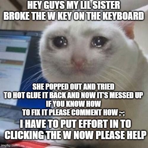 I want to get back to playing Minecraft | HEY GUYS MY LIL SISTER BROKE THE W KEY ON THE KEYBOARD; SHE POPPED OUT AND TRIED TO HOT GLUE IT BACK AND NOW IT'S MESSED UP
IF YOU KNOW HOW TO FIX IT PLEASE COMMENT HOW ;-;; I HAVE TO PUT EFFORT IN TO CLICKING THE W NOW PLEASE HELP | image tagged in crying cat,sad,please help me | made w/ Imgflip meme maker