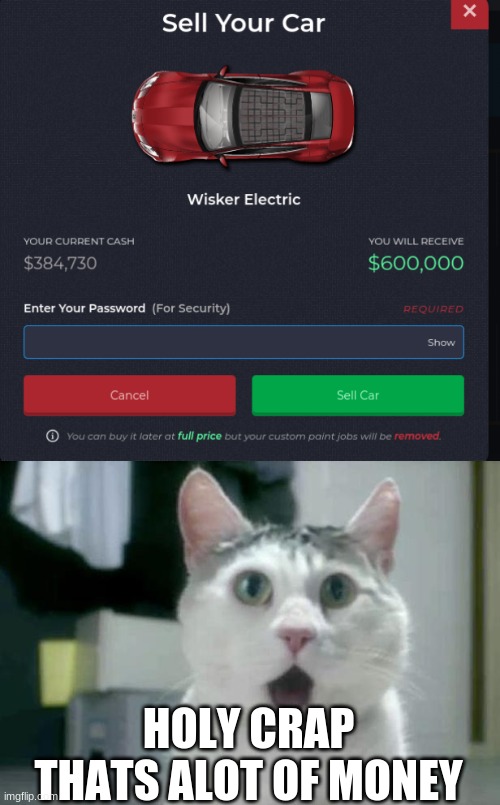 o-o | HOLY CRAP THATS ALOT OF MONEY | image tagged in memes,omg cat | made w/ Imgflip meme maker