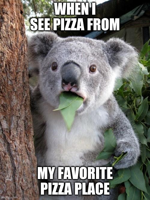 Surprised Koala | WHEN I SEE PIZZA FROM; MY FAVORITE PIZZA PLACE | image tagged in memes,surprised koala | made w/ Imgflip meme maker