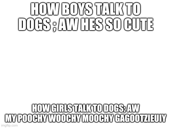 Blank White Template | HOW BOYS TALK TO DOGS ; AW HES SO CUTE; HOW GIRLS TALK TO DOGS; AW MY POOCHY WOOCHY MOOCHY GAGOOTZIEUIY | image tagged in blank white template | made w/ Imgflip meme maker