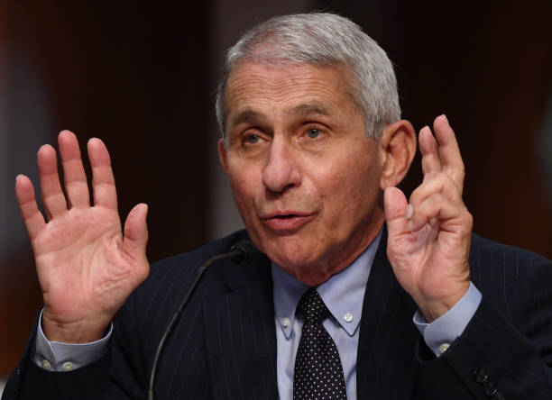 anthony fauci Blank Meme Template