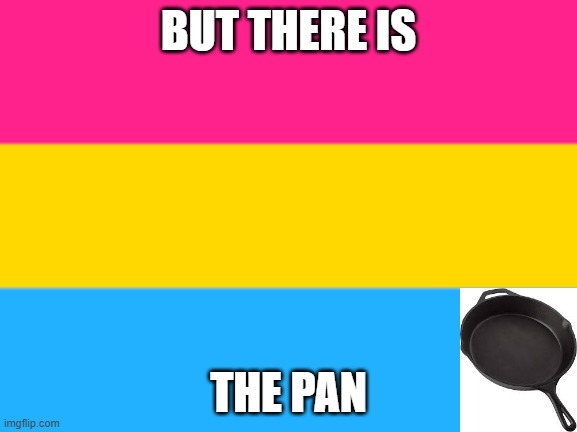 Pansexuals will understand | BUT THERE IS; THE PAN | image tagged in pansexual flag | made w/ Imgflip meme maker