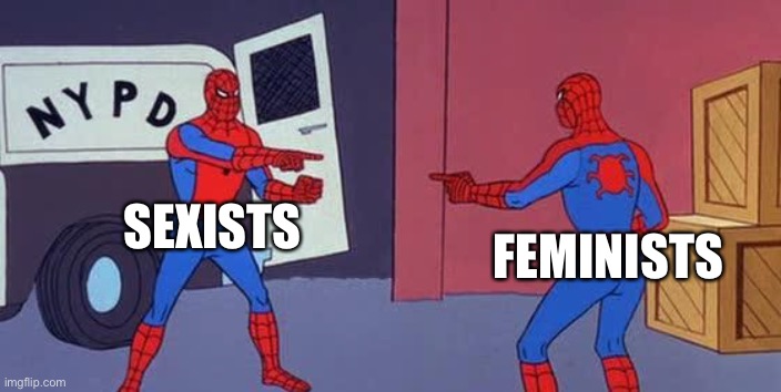 Spider Man Double | FEMINISTS; SEXISTS | image tagged in spider man double,politics,feminism,anti-feminism,political correctness,expectation vs reality | made w/ Imgflip meme maker