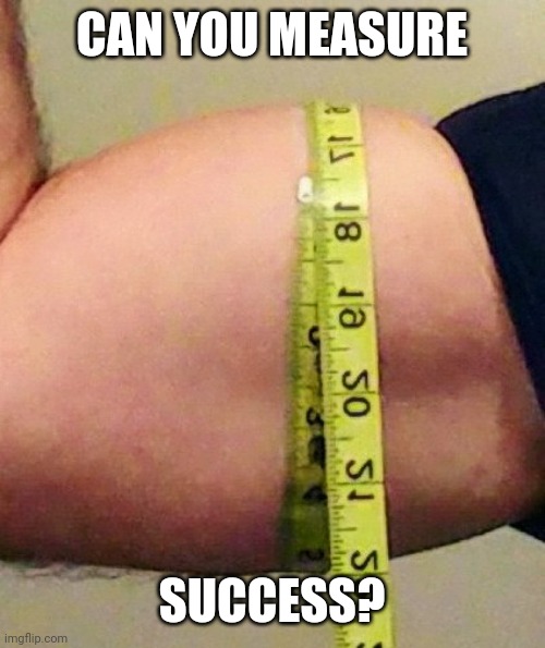 Success | CAN YOU MEASURE; SUCCESS? | image tagged in biceps | made w/ Imgflip meme maker
