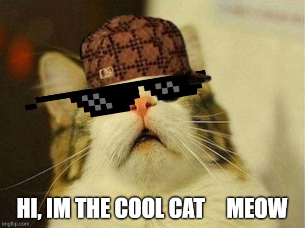 Scared Cat Meme | HI, IM THE COOL CAT     MEOW | image tagged in memes,scared cat | made w/ Imgflip meme maker