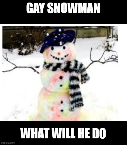 gaysnow | GAY SNOWMAN; WHAT WILL HE DO | image tagged in gay | made w/ Imgflip meme maker