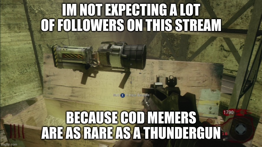 thundergun | IM NOT EXPECTING A LOT OF FOLLOWERS ON THIS STREAM; BECAUSE COD MEMERS ARE AS RARE AS A THUNDERGUN | image tagged in thundergun | made w/ Imgflip meme maker