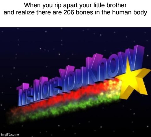 wowee | When you rip apart your little brother and realize there are 206 bones in the human body | image tagged in the more you know,memes | made w/ Imgflip meme maker