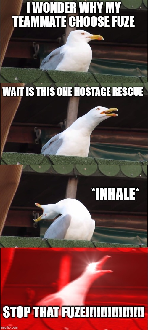 bring back the r6 memes | I WONDER WHY MY TEAMMATE CHOOSE FUZE; WAIT IS THIS ONE HOSTAGE RESCUE; *INHALE*; STOP THAT FUZE!!!!!!!!!!!!!!!! | image tagged in memes,inhaling seagull,rainbow six siege,rainbow six - fuze the hostage | made w/ Imgflip meme maker