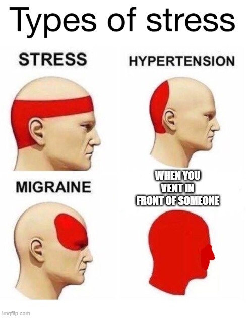 among us stress | WHEN YOU VENT IN FRONT OF SOMEONE | image tagged in types of stress | made w/ Imgflip meme maker