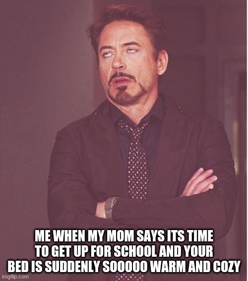 i know its not just me | ME WHEN MY MOM SAYS ITS TIME TO GET UP FOR SCHOOL AND YOUR BED IS SUDDENLY SOOOOO WARM AND COZY | image tagged in memes,face you make robert downey jr | made w/ Imgflip meme maker