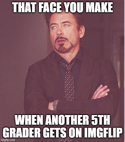 Face You Make Robert Downey Jr | THAT FACE YOU MAKE; WHEN ANOTHER 5TH GRADER GETS ON IMGFLIP | image tagged in memes,face you make robert downey jr | made w/ Imgflip meme maker