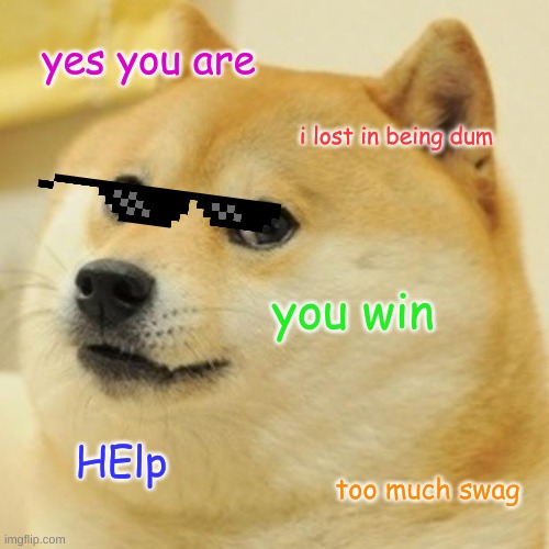 Doge Meme | yes you are i lost in being dum you win HElp too much swag | image tagged in memes,doge | made w/ Imgflip meme maker