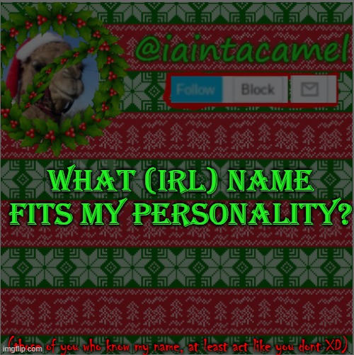 n a m e | WHAT (IRL) NAME FITS MY PERSONALITY? (those of you who know my name, at least act like you dont XD) | made w/ Imgflip meme maker