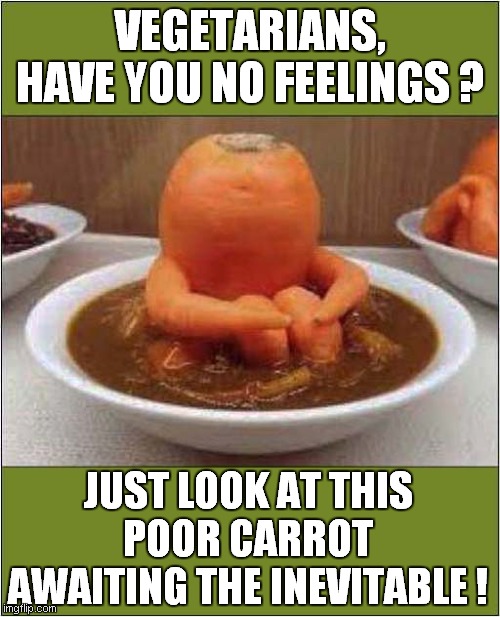 A Carrots Fate | VEGETARIANS, HAVE YOU NO FEELINGS ? JUST LOOK AT THIS POOR CARROT AWAITING THE INEVITABLE ! | image tagged in fun,carrot,vegetarian,vegan | made w/ Imgflip meme maker