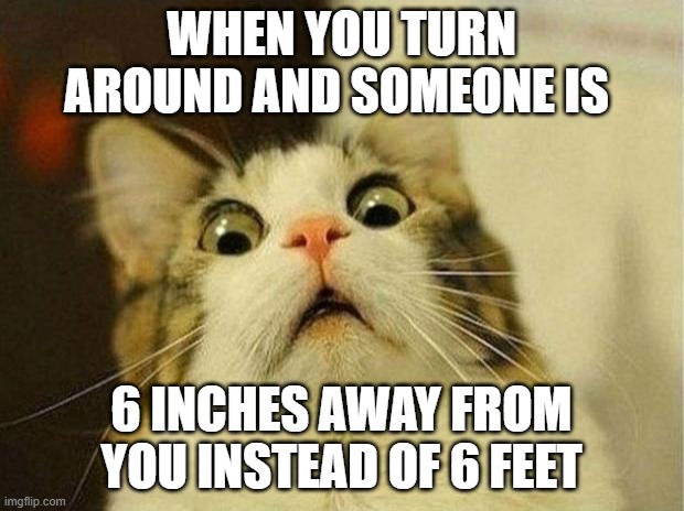 Scared Cat Meme | WHEN YOU TURN AROUND AND SOMEONE IS; 6 INCHES AWAY FROM YOU INSTEAD OF 6 FEET | image tagged in memes,scared cat,lol,covid | made w/ Imgflip meme maker