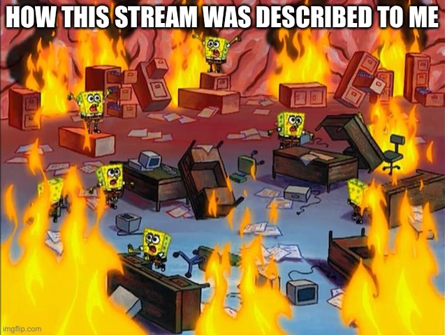 spongebob fire | HOW THIS STREAM WAS DESCRIBED TO ME | image tagged in spongebob fire | made w/ Imgflip meme maker