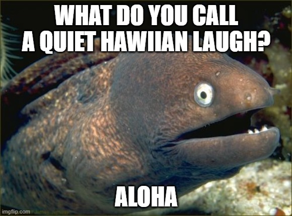 Da-dum tss. | WHAT DO YOU CALL A QUIET HAWIIAN LAUGH? ALOHA | image tagged in memes,bad joke eel,puns,jokes,corny joke | made w/ Imgflip meme maker