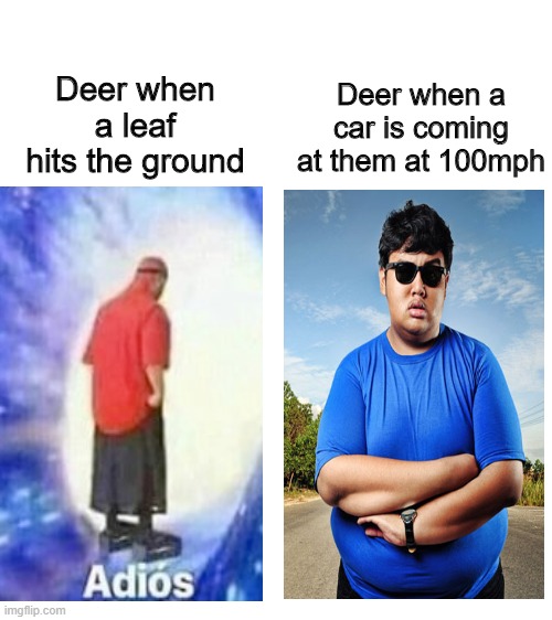 I already posted this in this channel, you already know what i want man, dont just view do me a favor and upvote | Deer when a car is coming at them at 100mph; Deer when a leaf hits the ground | image tagged in blank white template,upvote begging,upvote now | made w/ Imgflip meme maker