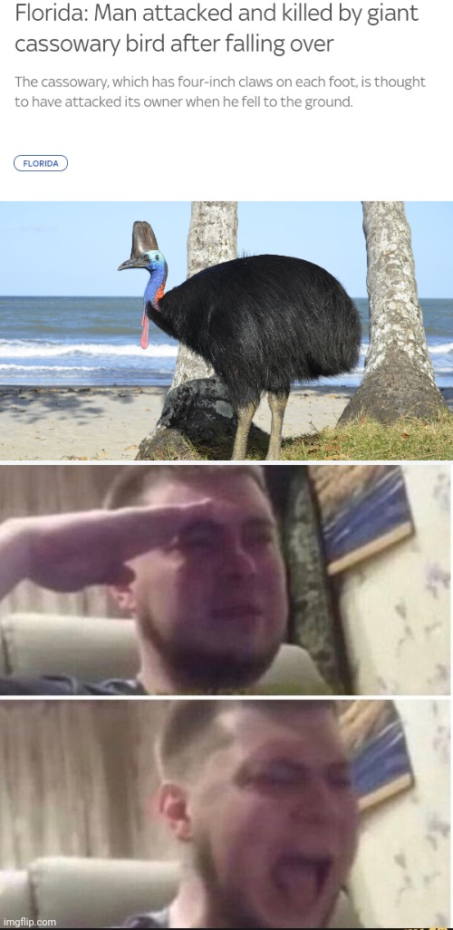 Sad moment | image tagged in crying salute,funny,memes,bird,meme,florida | made w/ Imgflip meme maker